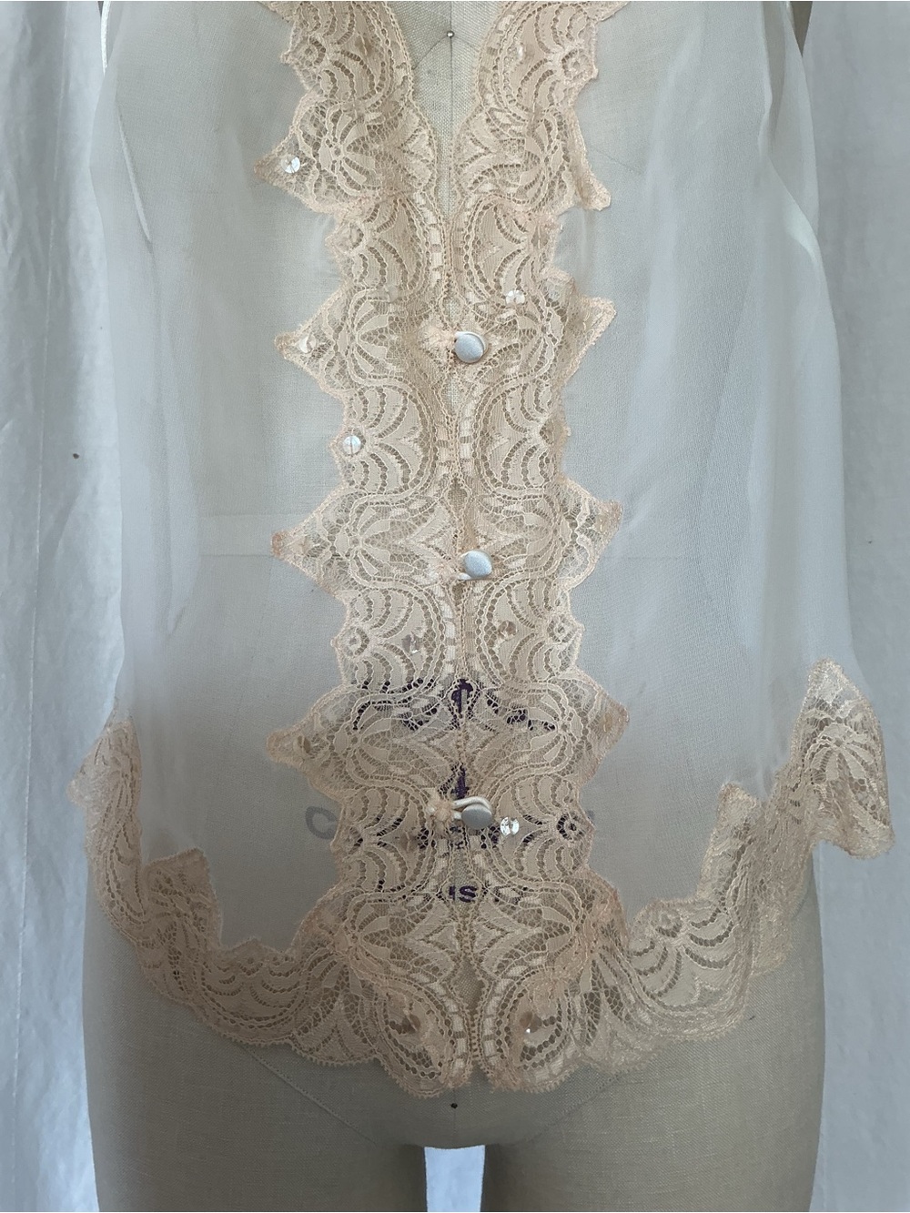 Frederick's of Hollywood Sheer Chemise with Lace Trim in Nude/White - Picture 2 of 8